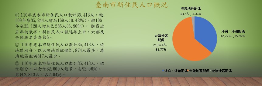臺南市新住民人口概況 